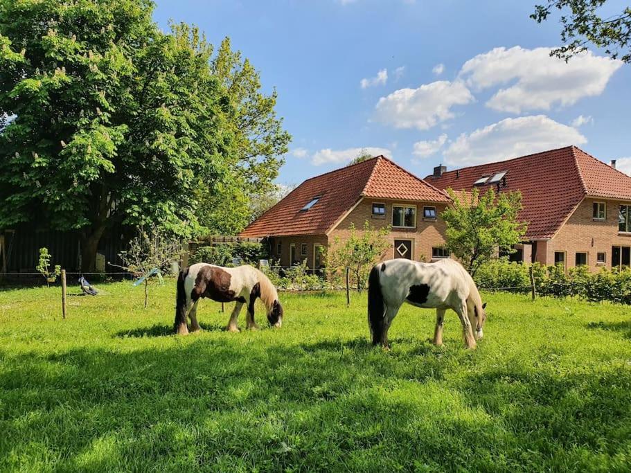 Leuk Boerderijtje Op Prachtige Plek, Nabij Natuurgebied Ruurlo Exterior photo