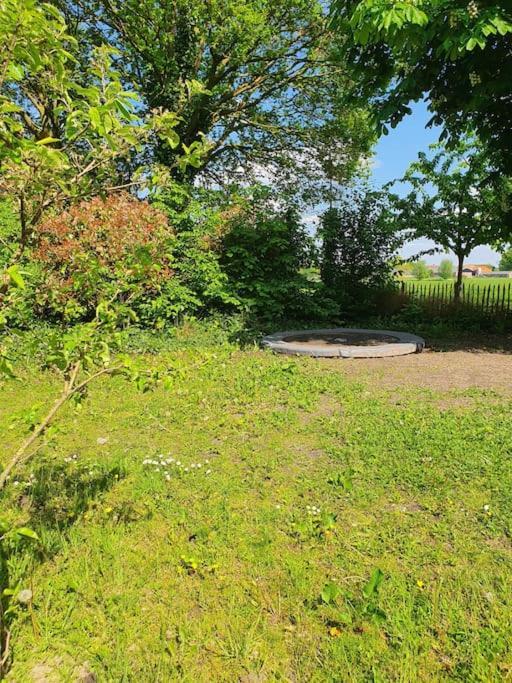 Leuk Boerderijtje Op Prachtige Plek, Nabij Natuurgebied Ruurlo Exterior photo