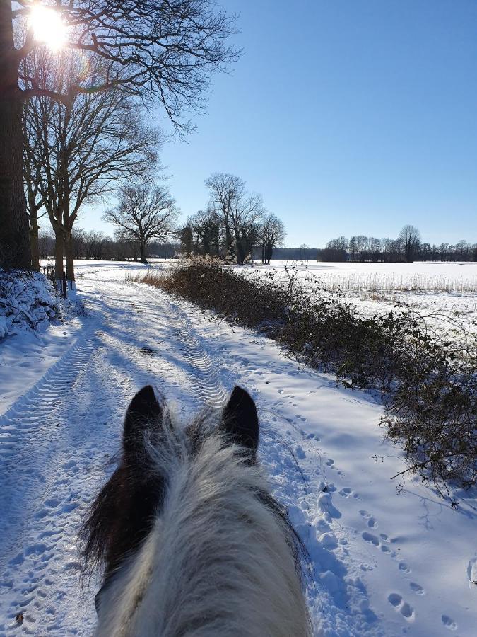 Leuk Boerderijtje Op Prachtige Plek, Nabij Natuurgebied Ruurlo Exterior photo